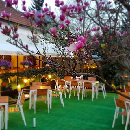 布拉索夫 Casa Andreea酒店 外观 照片